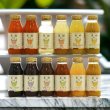 画像1: 果樹ある生活180ml　12種12本セット (1)