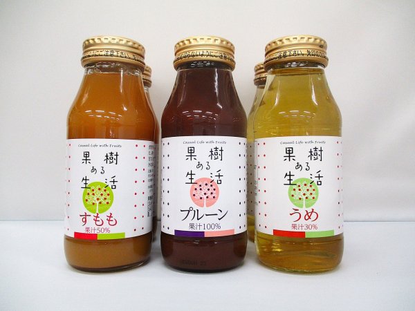画像1: 【アウトレット】果樹ある生活180ml　3種6本セット(すもも50%・プルーン100%・うめ30%) (1)